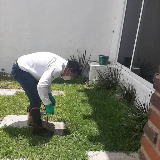 %fumigadores baratos en Tultitlán de Mariano Escobedo Tronx Manejo Integrado De Plagas Y Desinfección