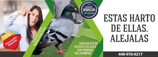 Valle Verde Pest Control