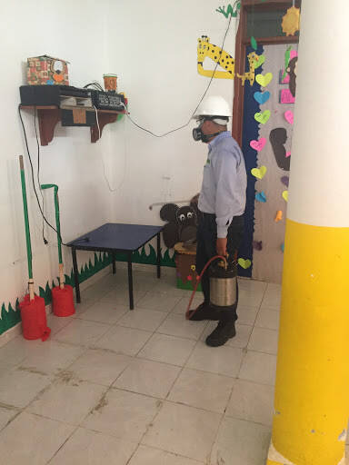 %fumigadores baratos en Cancún Xipar Fumigaciones