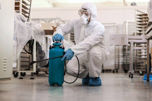 %fumigadores baratos en Hacienda Santa Fe Zaragoza Fumigaciones, Control De Plagas Y Sanitización